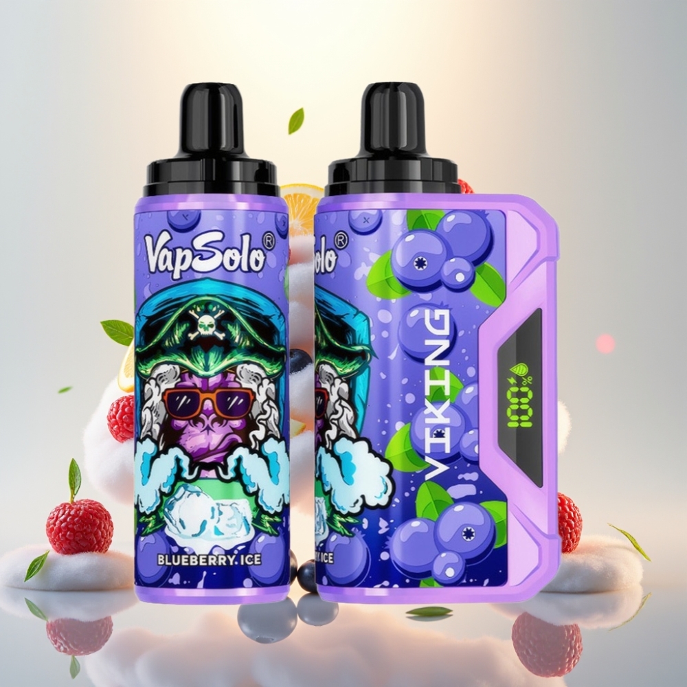 VapSolo VIKING 12000 Puffs 22ml Disposable Vape Blueberry