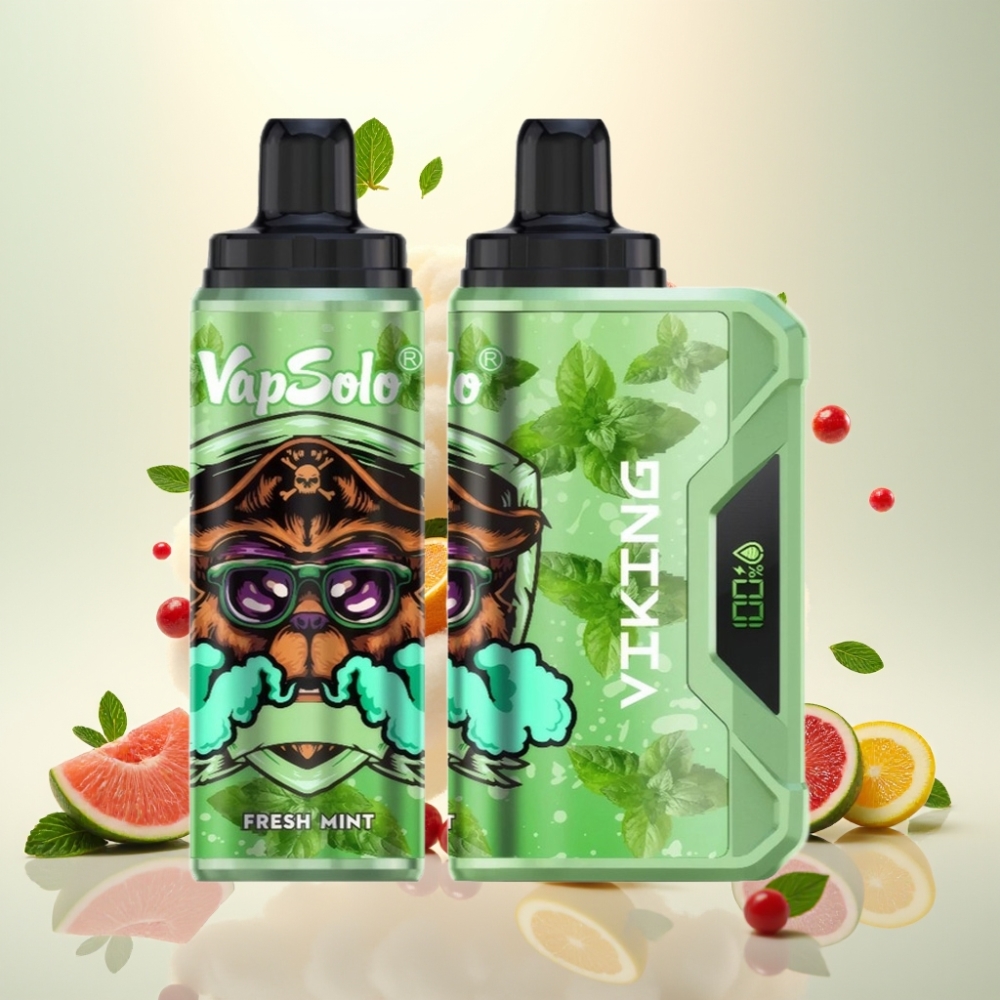 VapSolo VIKING 12000 Puffs 22ml Mint Disposable Vape
