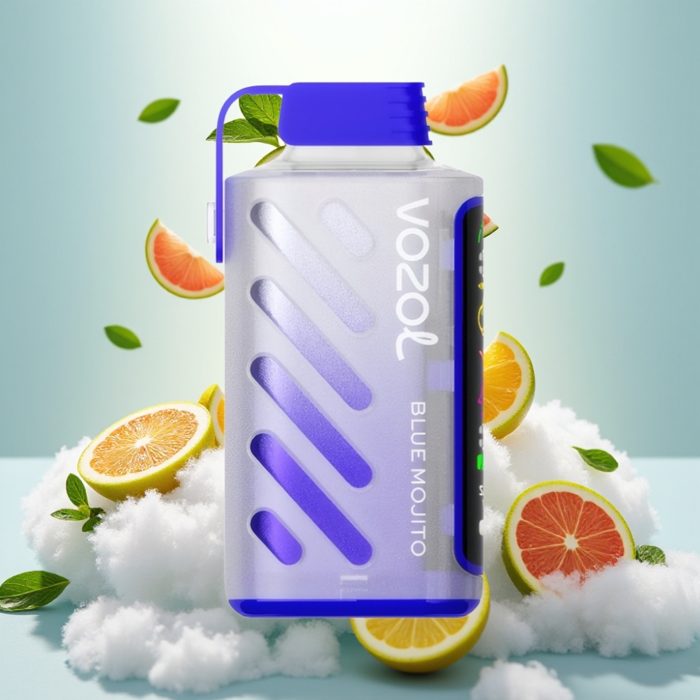 VOZOL Gear Power 20000 Puffs Dual Mesh Full Screen Disposable Vape Blue Mojito