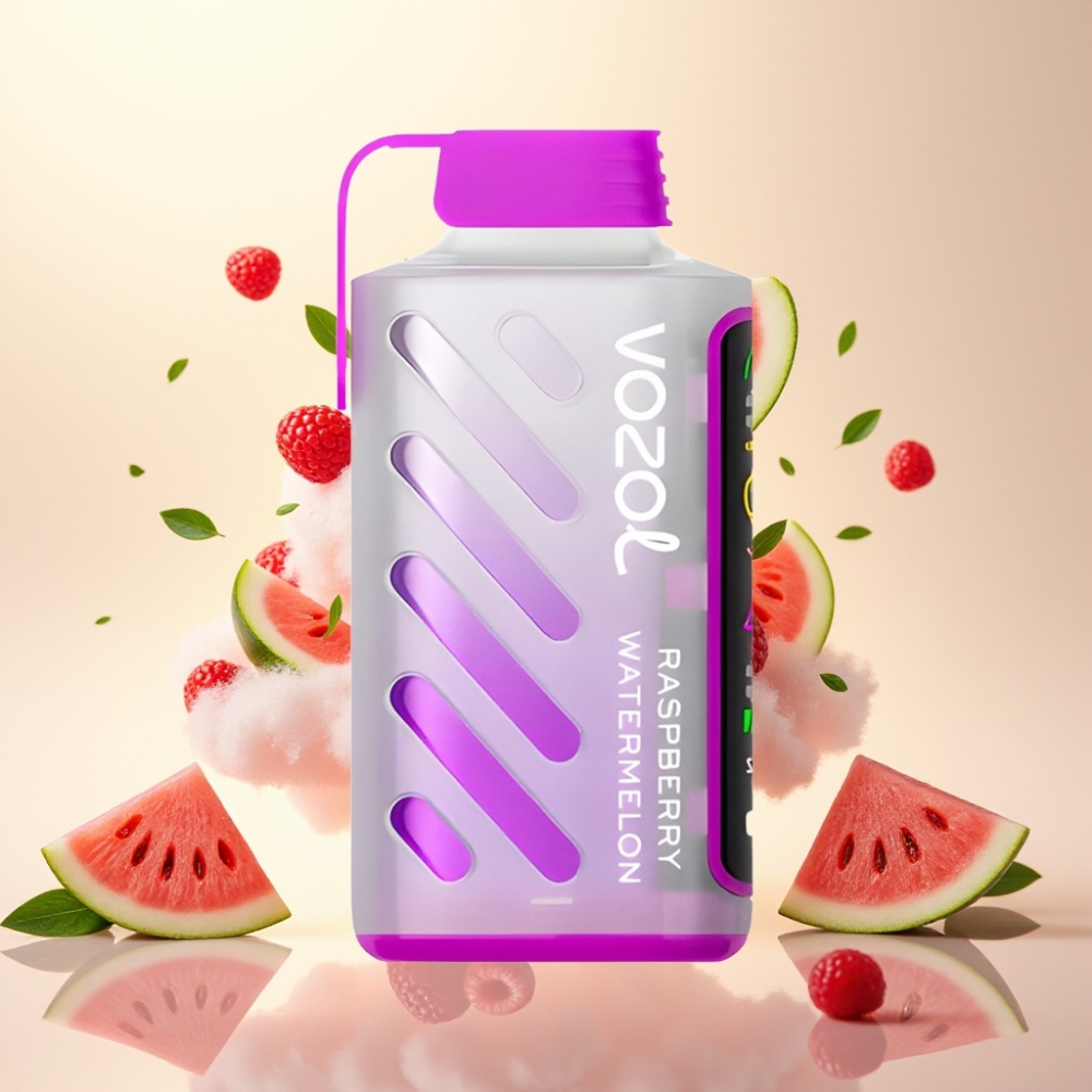 VOZOL Gear Power 20000 Puffs Dual Mesh Full Screen Disposable Vape Raspberry Watermelon