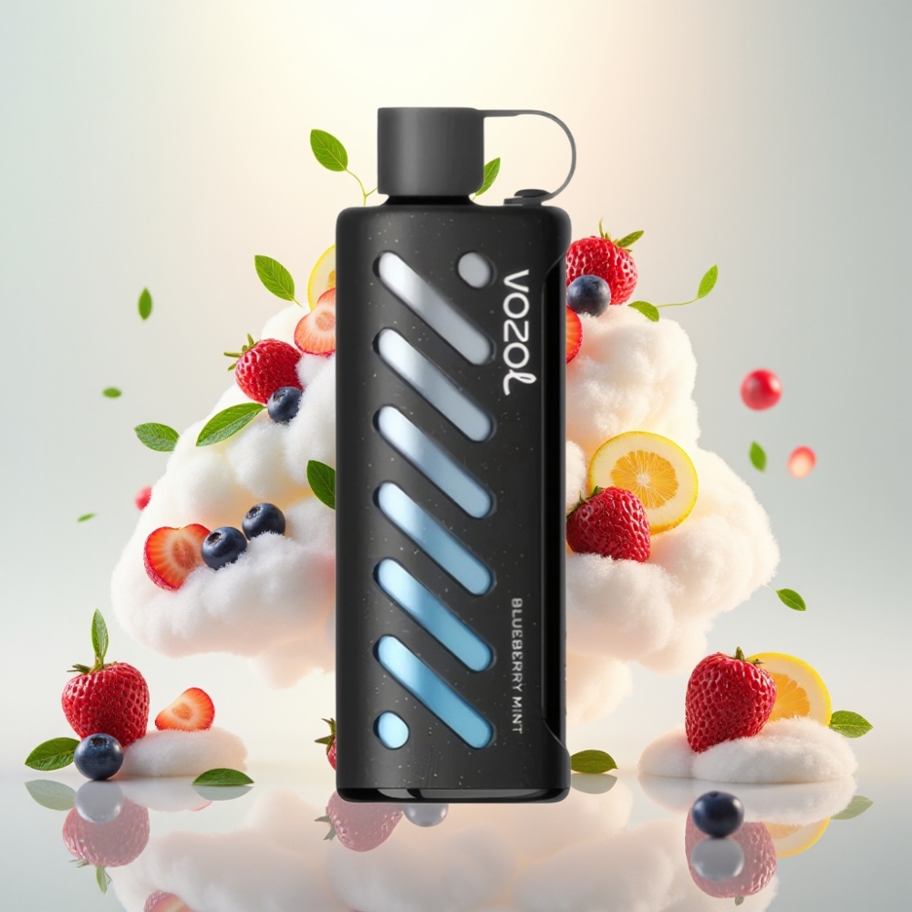 VOZOL Gear Shisha 25000 Puffs Dual Mesh Blueberry Mint Disposable Vape
