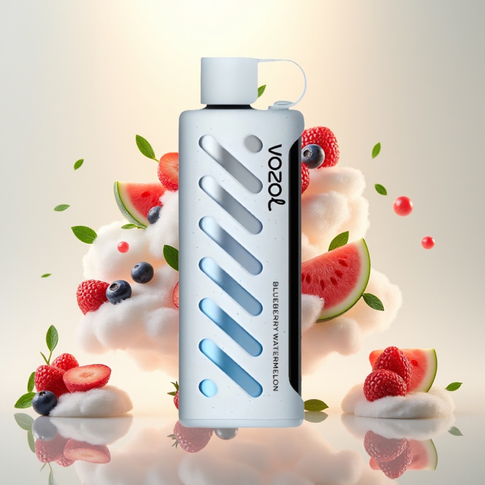 VOZOL Gear Shisha 25000 Puffs Dual Mesh Blueberry Watermelon
