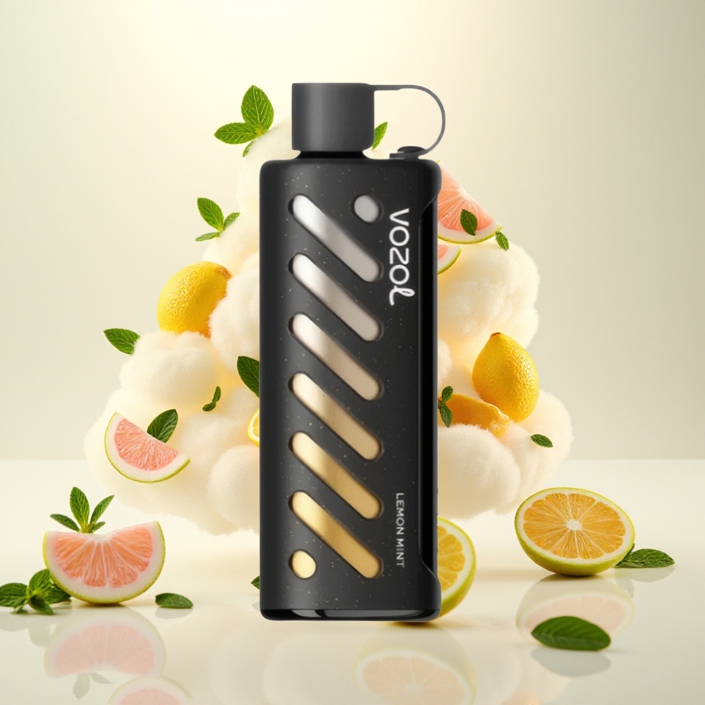 VOZOL Gear Shisha 25000 Puffs Dual Mesh Disposable Vape Lemon Mint