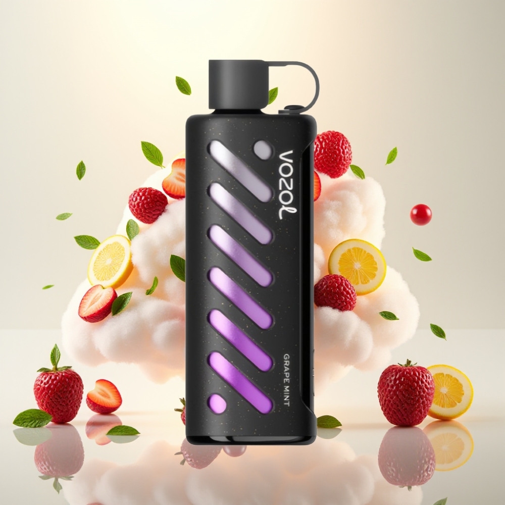 VOZOL Gear Shisha 25000 Puffs Dual Mesh Grape Mint