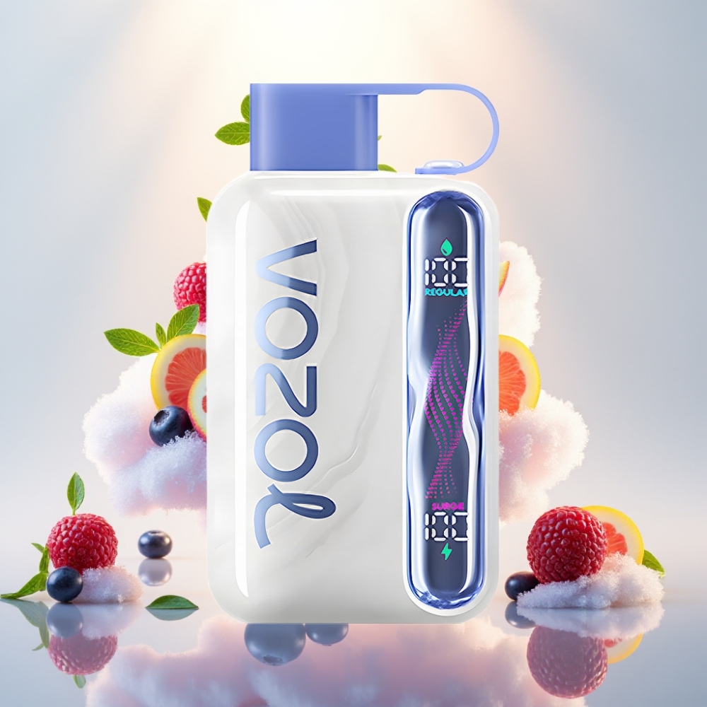 VOZOL STAR 40000 Puffs 1000mAh Disposable Vape Blueberry Ice