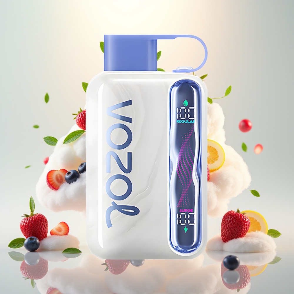 VOZOL STAR 40000 Puffs 1000mAh Disposable Vape Blueberry Mint
