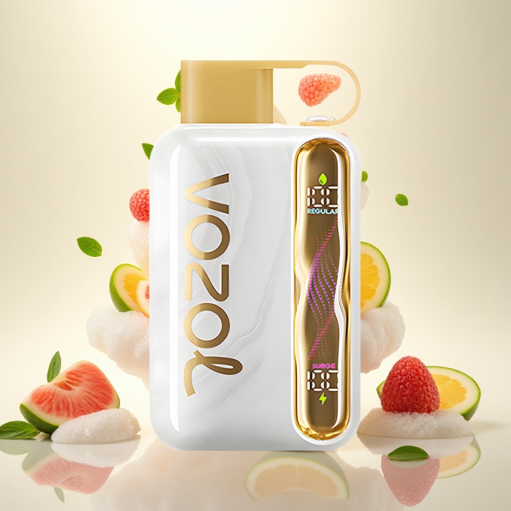 VOZOL STAR 40000 Puffs 1000mAh Disposable Vape Melon Ice