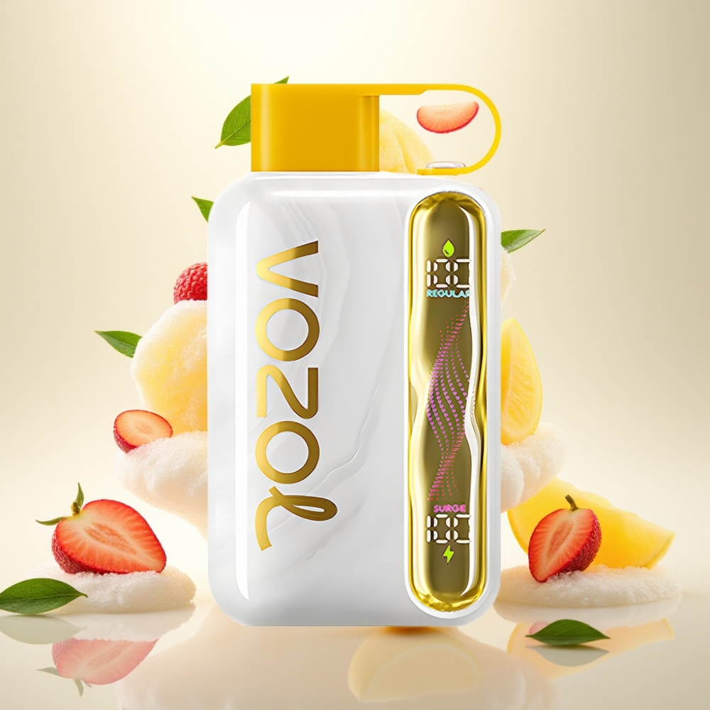 VOZOL STAR 40000 Puffs 1000mAh Type-C Disposable Vape Mango Ice