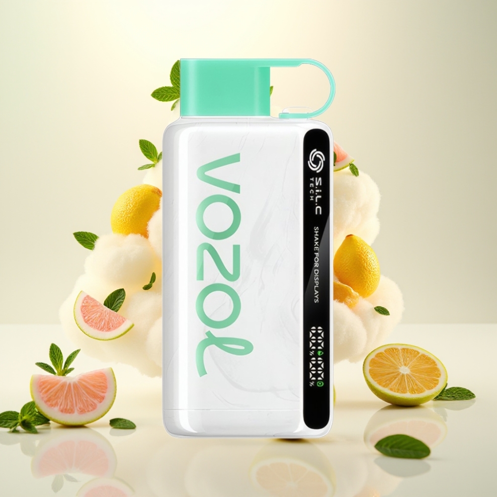 VOZOL STAR 9000/12000 Disposable Vape with S.i.L.C TECH & 30% Faster Charge Lemon Mint