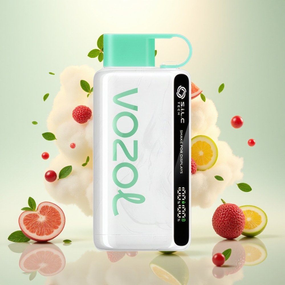 VOZOL STAR 9000/12000 Disposable Vape with S.i.L.C TECH & Fast Charge Cool Mint