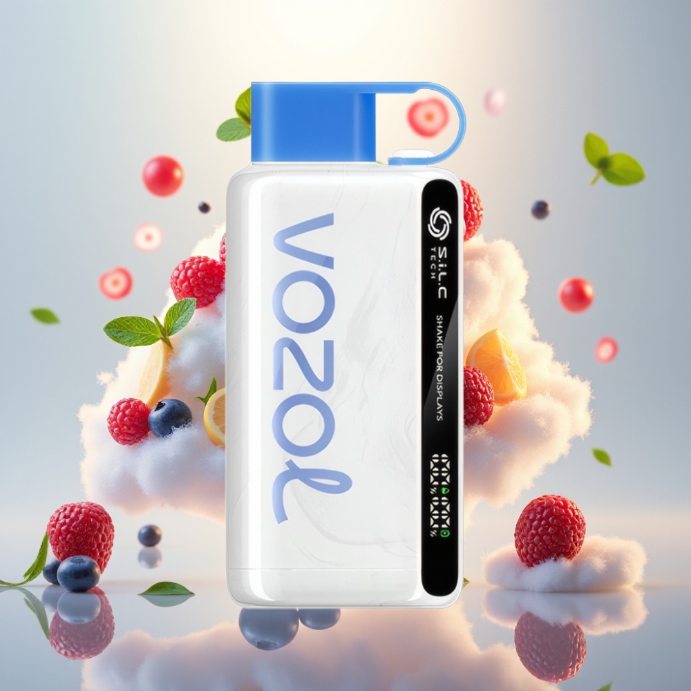 VOZOL STAR 9000/12000 Disposable Vape with S.i.L.C TECH & Rapid Charge Blueberry Storm
