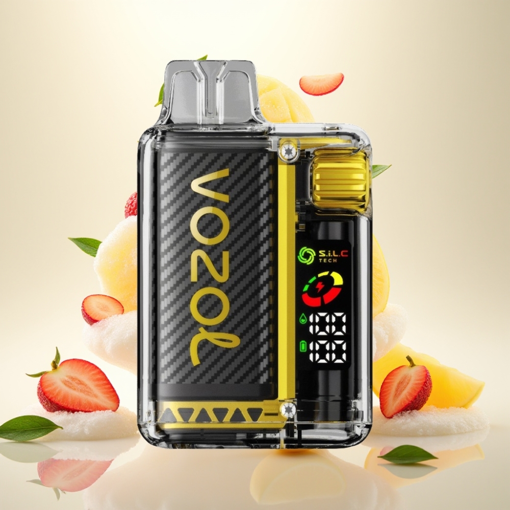VOZOL Vista 20000 Puffs Rechargeable Disposable Vape with 650mAh Battery & 2% Nicotine - Mango Ice