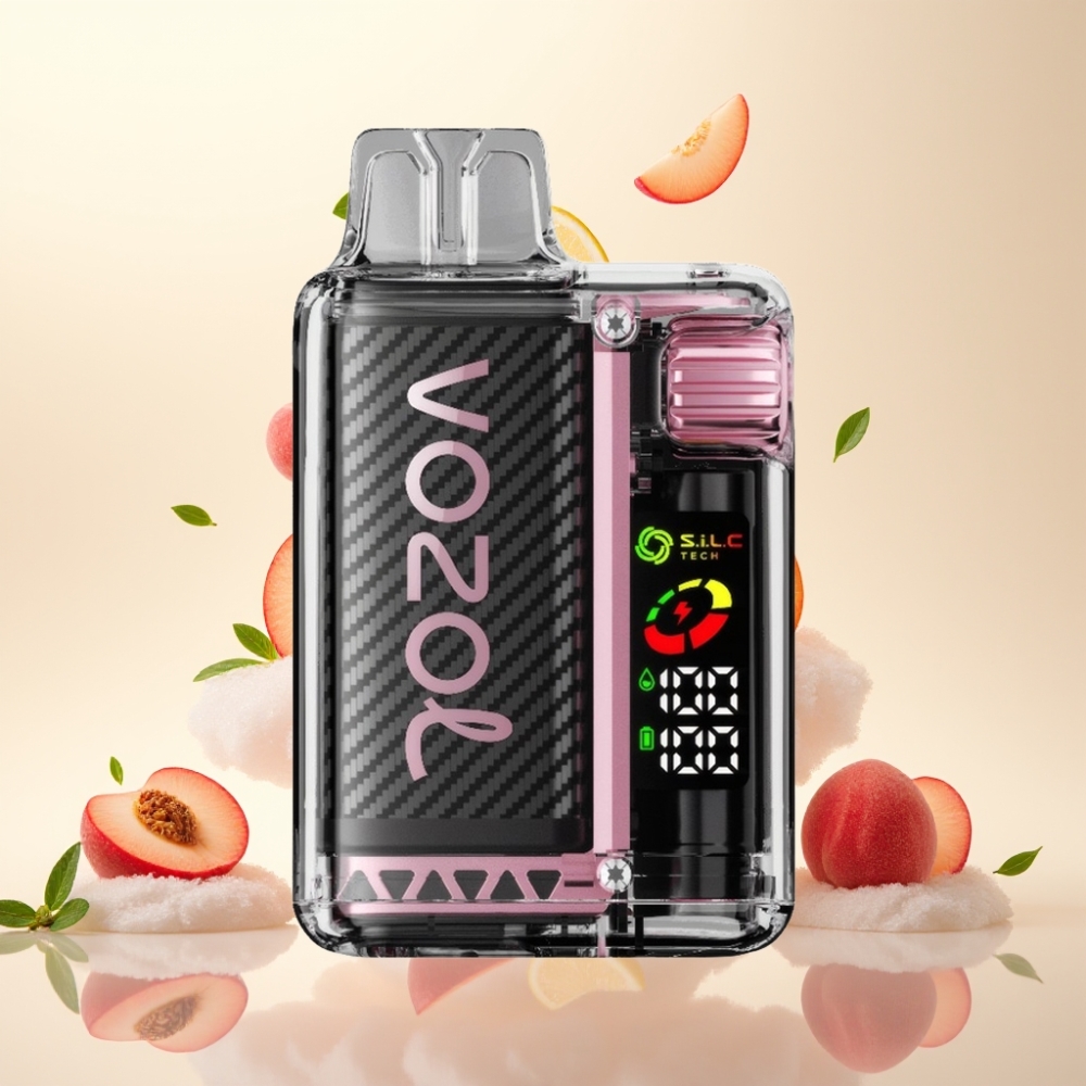 VOZOL Vista 20000 Puffs Rechargeable Disposable Vape with 650mAh Battery, 2% Nicotine, and S.i.L.C Tech Dual Mesh Coil - Peach Ice